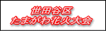 世田谷区たまがわ花火大会